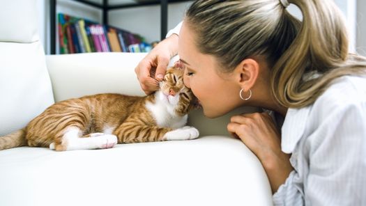 communication animale